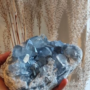 Celestinas (2,516 kg)