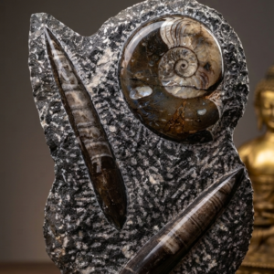 FOSILIJOS PLOKŠTĖ 30 cm