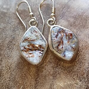 Auskarai ASTROFILITAS